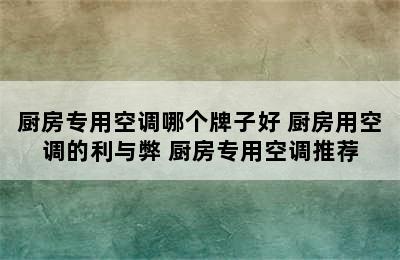 厨房专用空调哪个牌子好 厨房用空调的利与弊 厨房专用空调推荐